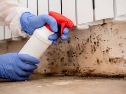 Best Mold Damage Restoration in Charlotte Hall, MD